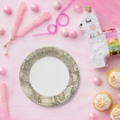 Asien 30 pappteller (Party)