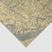 Asien 42 seidenpapier (Ausschnitt)