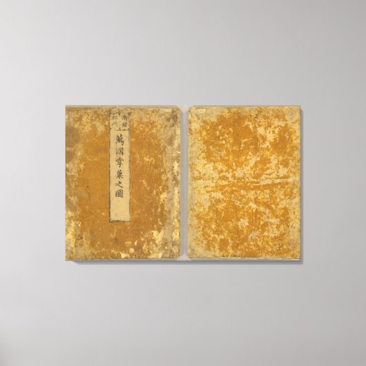 Asien 46 leinwanddruck (Vorderseite)