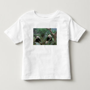 Asien, China, Chengdu. Riesige Pandas-Anlage Kleinkind T-shirt