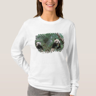 Asien, China, Chengdu. Riesige Pandas-Anlage T-Shirt