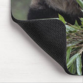 Asien, China Chongqing. Giant Panda Mousepad (Ecke)