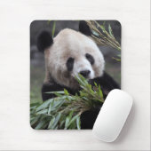 Asien, China Chongqing. Giant Panda Mousepad (Mit Mouse)