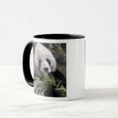 Asien, China Chongqing. Giant Panda Tasse (Vorderseite Links)