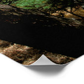 Asien, China, Huanshan. Der gelbe Berg Poster (Ecke)