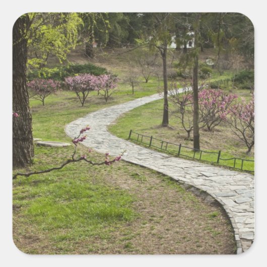 Asien, China, Peking. Frühlingsblüten entlang Quadratischer Aufkleber (Vorderseite)