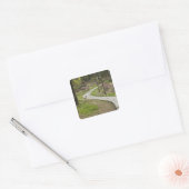 Asien, China, Peking. Frühlingsblüten entlang Quadratischer Aufkleber (Umschlag)