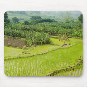 Asien, China, Provinz Yunnan, Honghe. Banane Mousepad