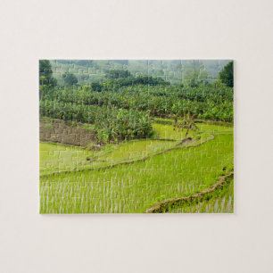 Asien, China, Provinz Yunnan, Honghe. Banane Puzzle