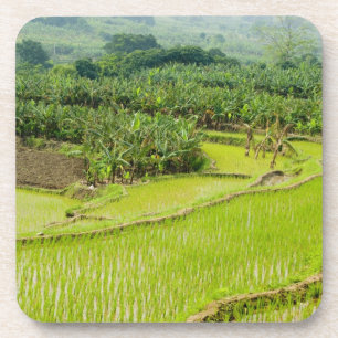 Asien, China, Provinz Yunnan, Honghe. Banane Untersetzer