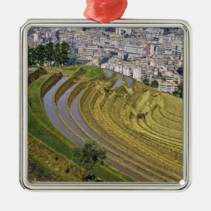 Asien, China, Provinz Yunnan, Jinping. Jinping Silbernes Ornament