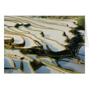 Asien, China, Provinz Yunnan, Kreis Yuanyang.