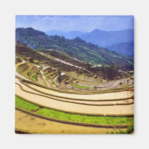 Asien, China, Provinz Yunnan, Kreis Yuanyang. Magnet