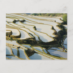 Asien, China, Provinz Yunnan, Kreis Yuanyang. Postkarte