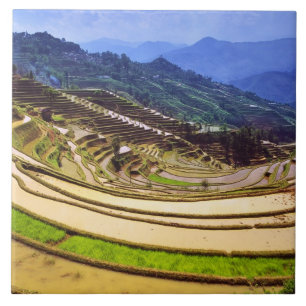 Asien, China, Provinz Yunnan, Landkreis Yuanyang. Fliese