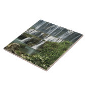 Asien, China, Provinz Yunnan, Qujing, Luoping Fliese (Seite)