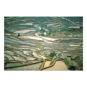 Asien, China. Überschwemmte Reisterrassen in der N Fotodruck