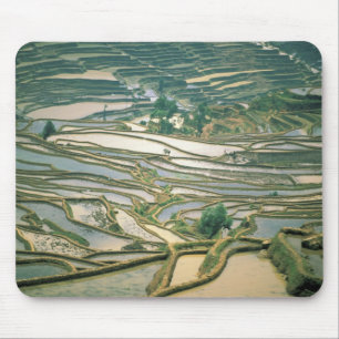 Asien, China. Überschwemmte Reisterrassen in der N Mousepad