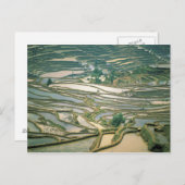 Asien, China. Überschwemmte Reisterrassen in der N Postkarte (Vorne/Hinten)
