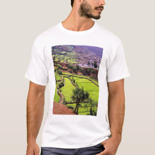 Asien, China, Yunnan, Honghe.  Reisterrassen in de T-Shirt