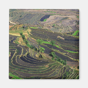 Asien, China, Yunnan, Honghe. Reisterrassen in der Magnet