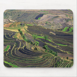 Asien, China, Yunnan, Honghe. Reisterrassen in der Mousepad