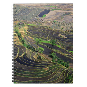 Asien, China, Yunnan, Honghe. Reisterrassen in der Notizblock