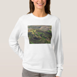 Asien, China, Yunnan, Honghe. Reisterrassen in der T-Shirt