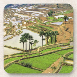 Asien, China, Yunnan, Honghe. Reisterrassen in der Untersetzer