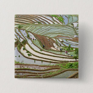 Asien, China, Yunnan, Jinping. Einheimische Yi Button