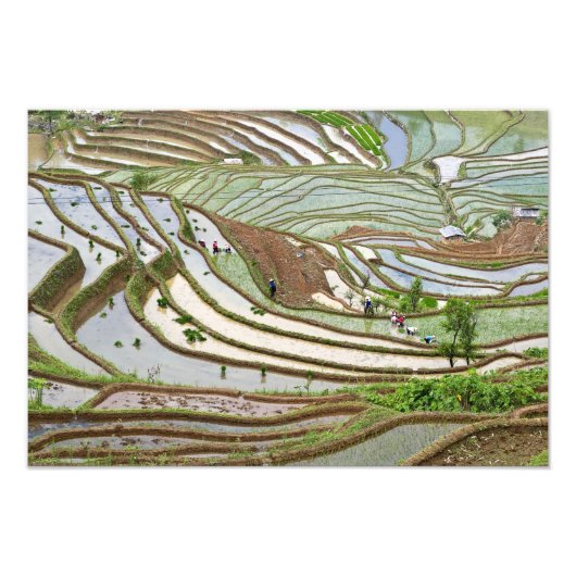 Asien, China, Yunnan, Jinping. Ui Yi Fotodruck (Vorne)