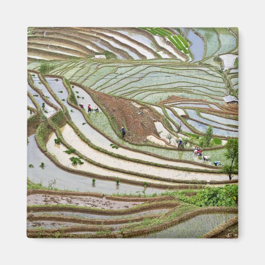 Asien, China, Yunnan, Jinping. Ui Yi Magnet (Vorne)