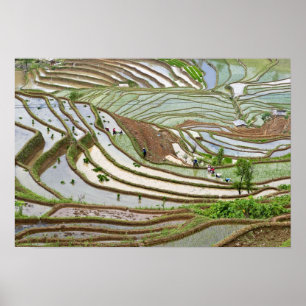 Asien, China, Yunnan, Jinping. Ui Yi Poster