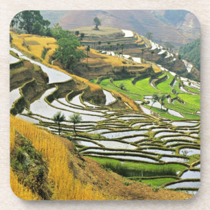 Asien, China, Yunnan, Präfektur Yuxi; Yuanjiang. Getränkeuntersetzer