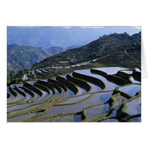 Asien, China, Yunnan, Yuanyang. gequält