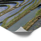 Asien, China, Yunnan, Yuanyang. gequält Poster (Ecke)