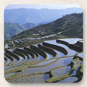 Asien, China, Yunnan, Yuanyang. geraubt Untersetzer