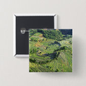 Asien, China, Yunnan, Yuanyang. Grünmuster Button (Vorne & Hinten)
