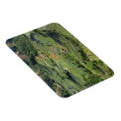 Asien, China, Yunnan, Yuanyang. Muster Grün 2 Magnet (Rechte Seite)