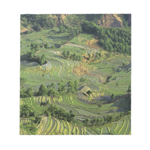 Asien, China, Yunnan, Yuanyang. Muster Grün 2 Notizblock