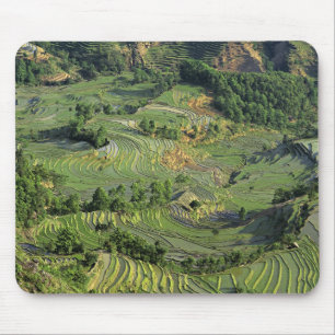 Asien, China, Yunnan, Yuanyang. Muster von Grün 2 Mousepad