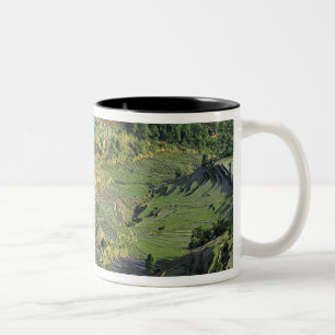 Asien, China, Yunnan, Yuanyang. Muster von Grün 2 Zweifarbige Tasse