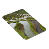 Asien, China, Yunnan, Yuanyang. Überlaufreis Magnet (Rechte Seite)