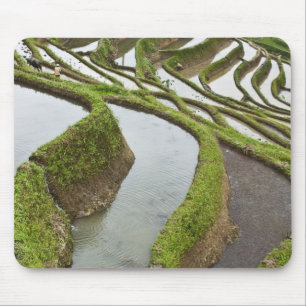 Asien, China, Yunnan, Yuanyang. Überschwemmter Rei Mousepad