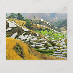 Asien, China, Yunnan, Yuxi-Präfektur; Yuanjiang. Postkarte