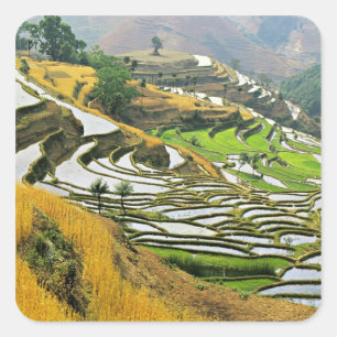 Asien, China, Yunnan, Yuxi-Präfektur; Yuanjiang. Quadratischer Aufkleber