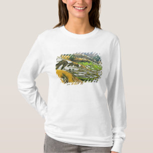 Asien, China, Yunnan, Yuxi-Präfektur; Yuanjiang. T-Shirt