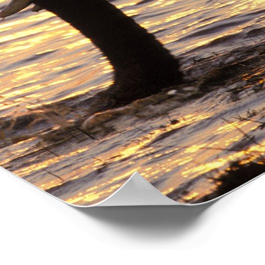 Asien, Indien, Nargahole Nationalpark. Indianer Poster (Ecke)