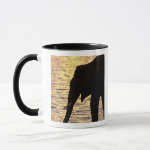 Asien, Indien, Nargahole Nationalpark. Indisch Tasse