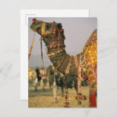 Asien, Indien, Puschkar. Camel Shamu, Puschkar Postkarte (Vorne/Hinten)